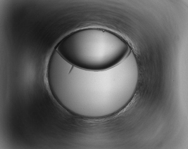 X0000088061518200705110903