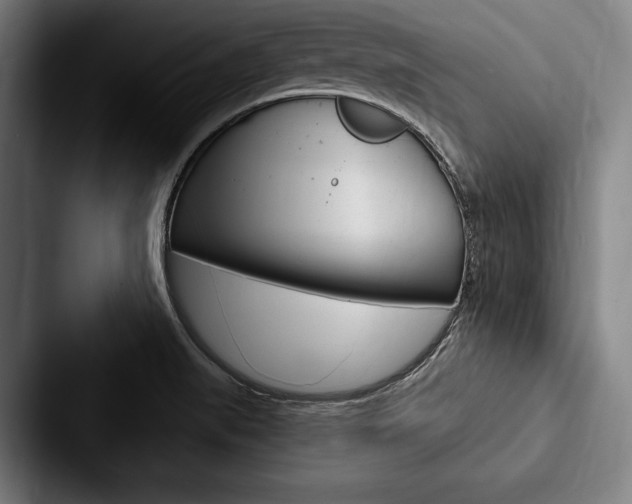 X0000088061519200705110903