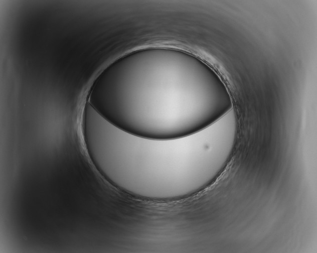 X0000088061520200705110903