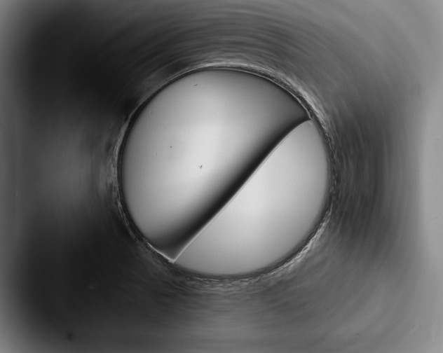 X0000088061521200705110903