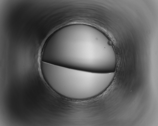 X0000088061522200705110903