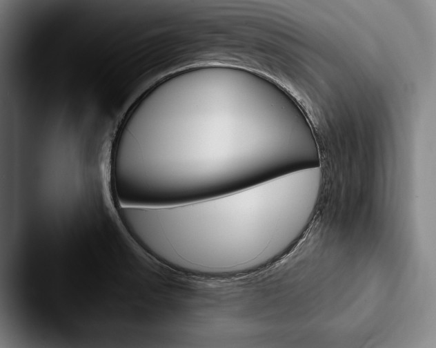 X0000088061523200705110903
