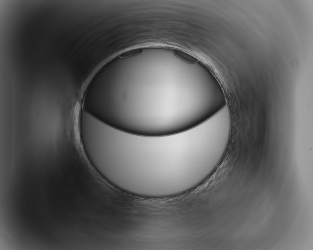 X0000088061524200705110903