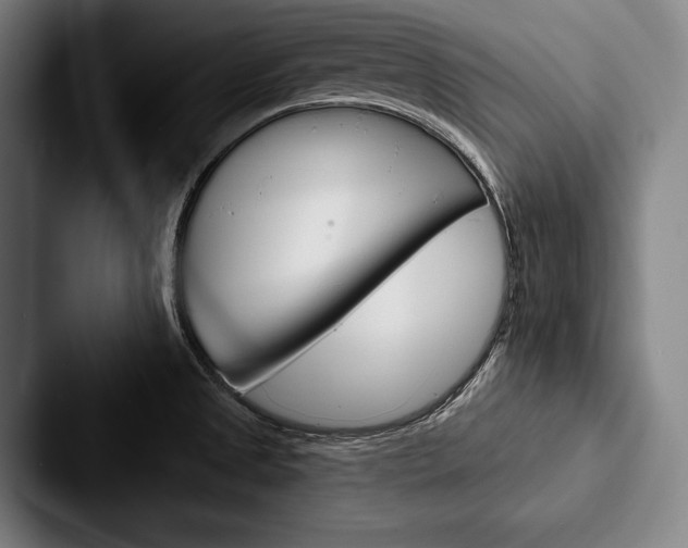 X0000088061525200705110903