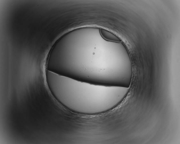 X0000088061526200705110903