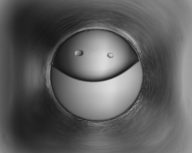 X0000088061528200705110903