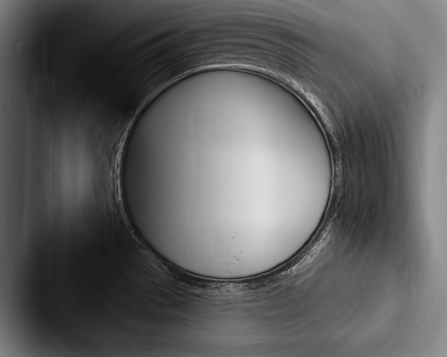 X0000088061529200705110903