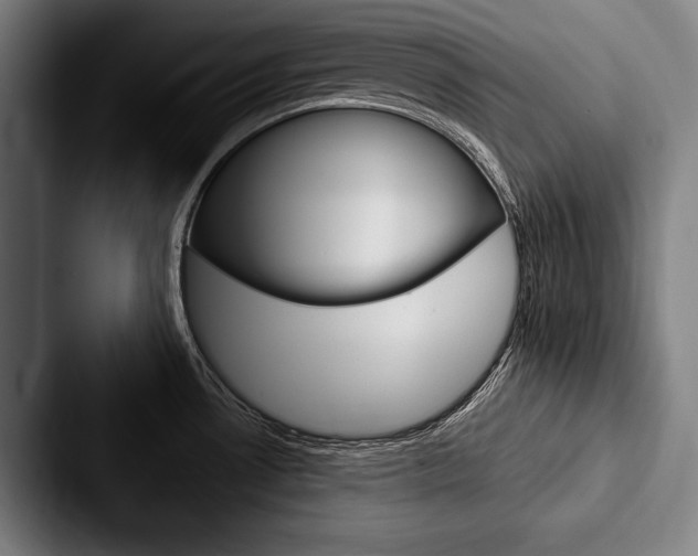 X0000088061530200705110903