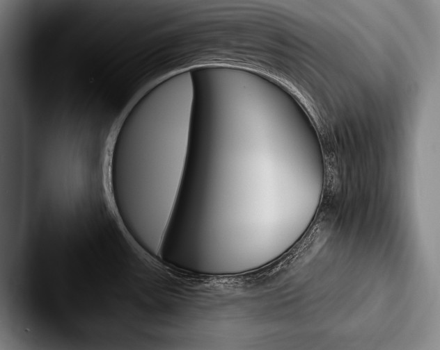 X0000088061531200705110903