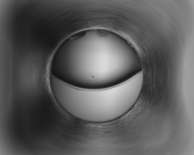 X0000088061532200705110903
