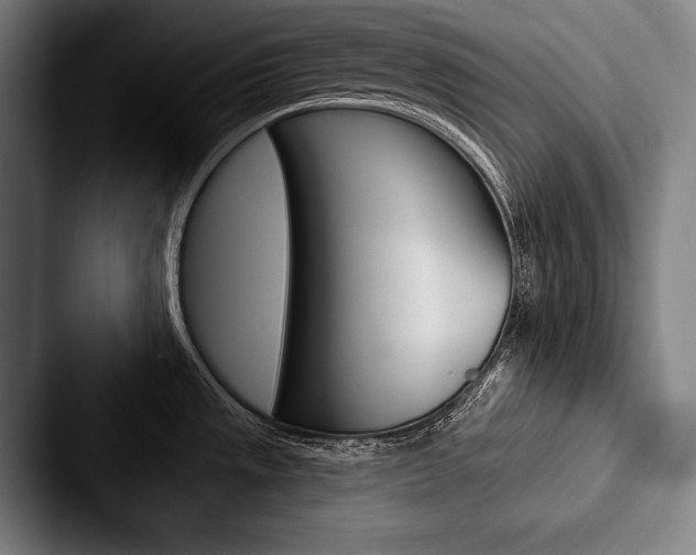 X0000088061533200705110903