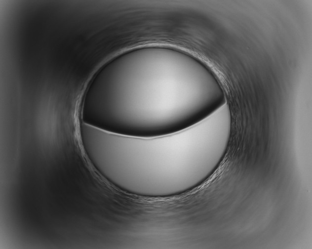 X0000088061534200705110903