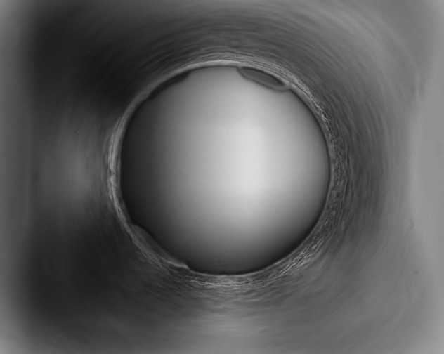 X0000088061536200705110904
