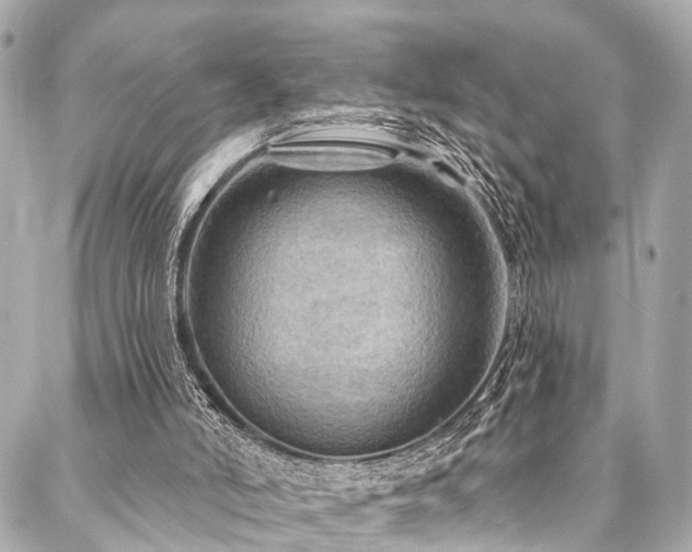 X0000088060006200705111344