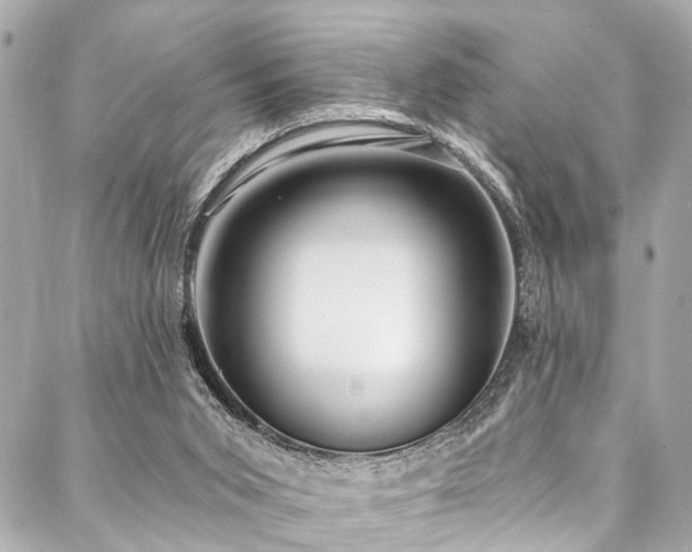 X0000088060015200705111344
