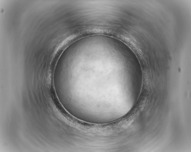 X0000088060016200705111344