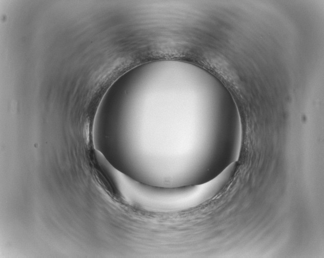 X0000088060021200705111344