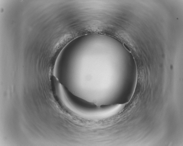 X0000088060023200705111344