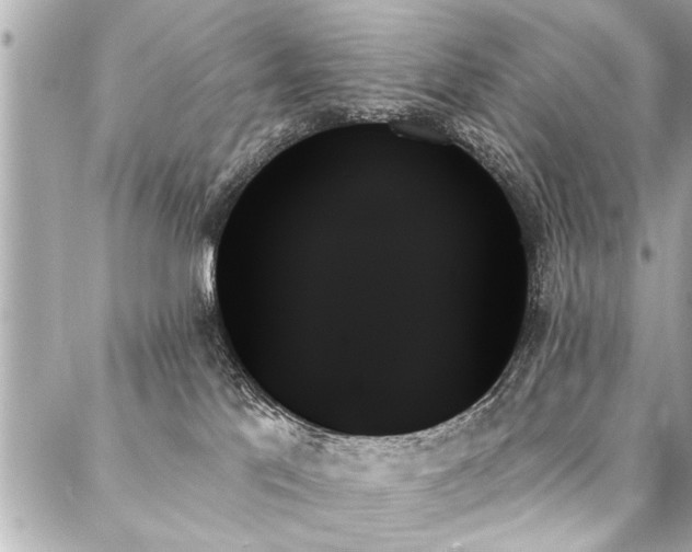 X0000088060041200705111344