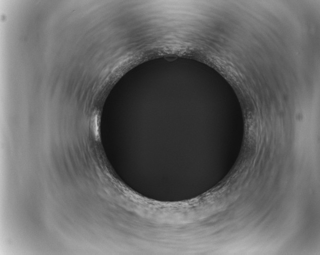 X0000088060042200705111344