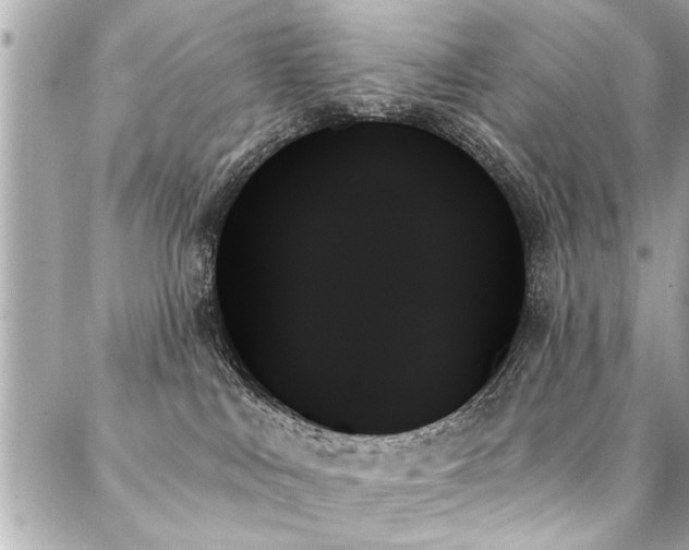 X0000088060043200705111344