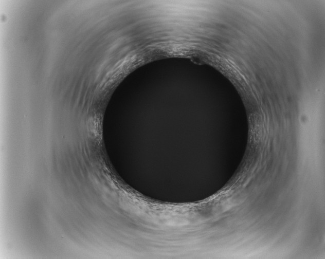 X0000088060044200705111344