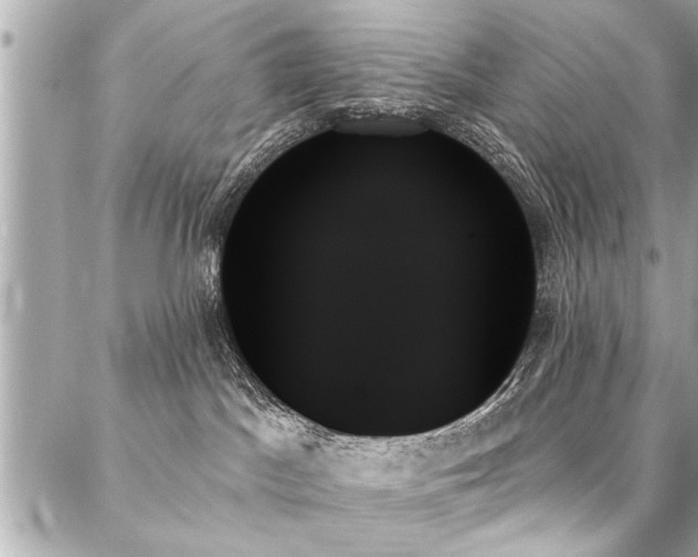 X0000088060045200705111344