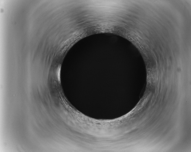X0000088060047200705111344