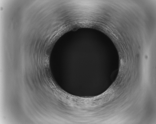 X0000088060048200705111344
