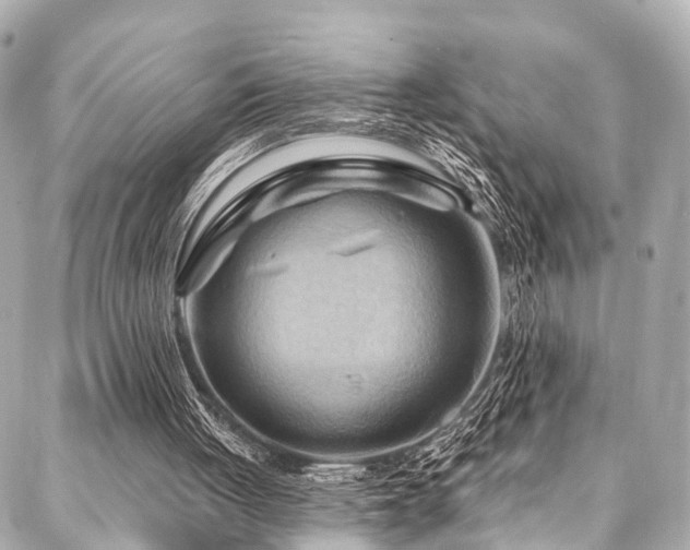 X0000088060051200705111343