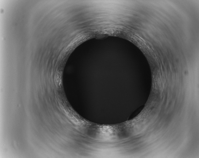 X0000088060091200705111344