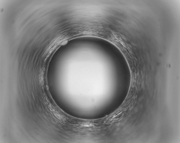 X0000088060098200705111343
