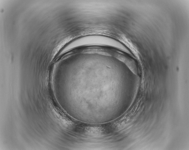 X0000088060107200705111343