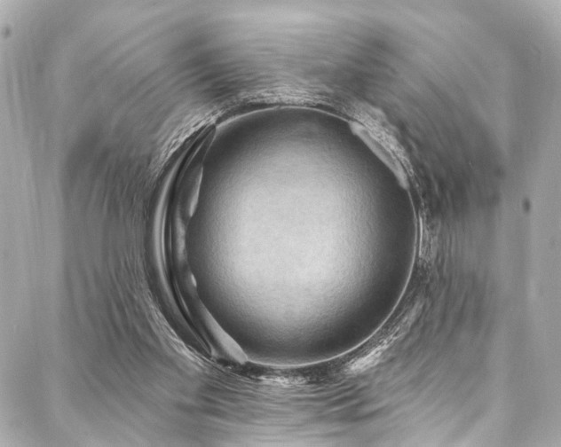 X0000088060109200705111343