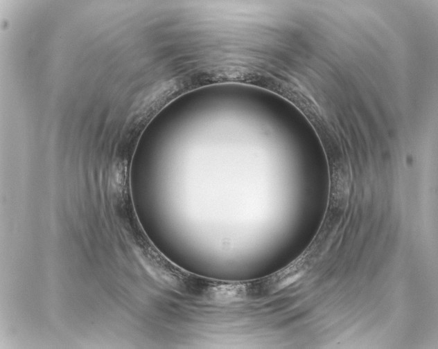 X0000088060126200705111343
