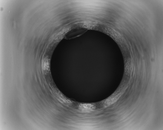 X0000088060137200705111342