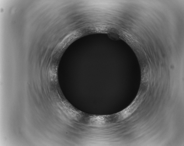 X0000088060140200705111342