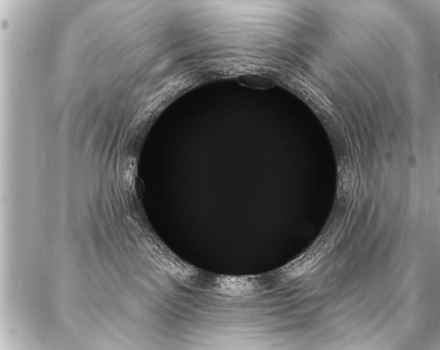 X0000088060141200705111342