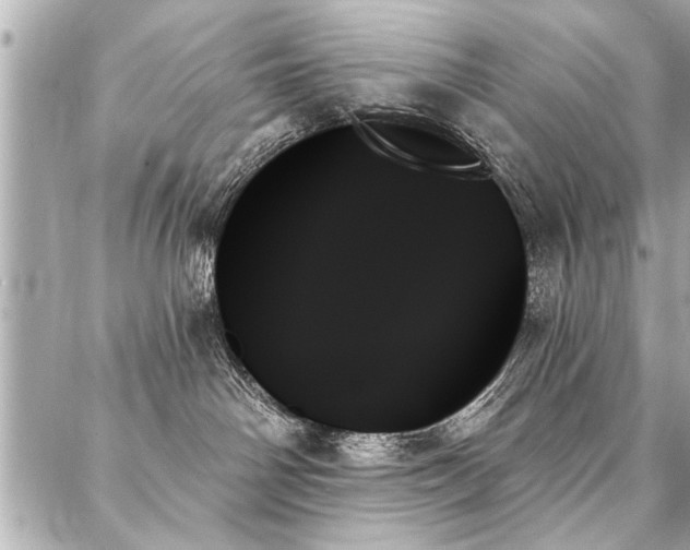 X0000088060142200705111342