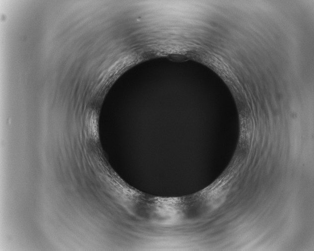 X0000088060143200705111342
