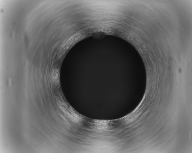 X0000088060144200705111342