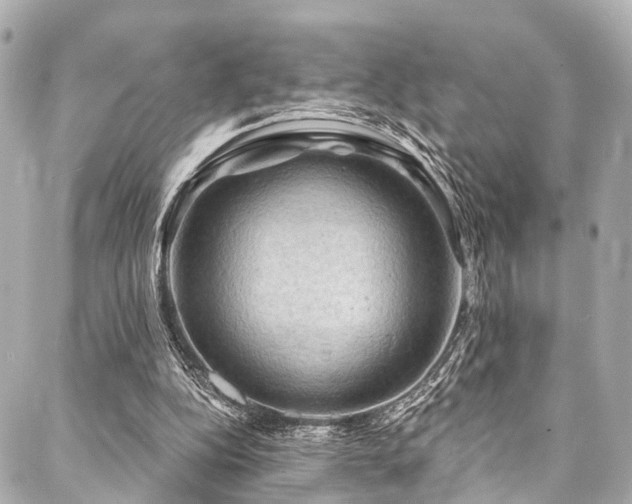 X0000088060152200705111342