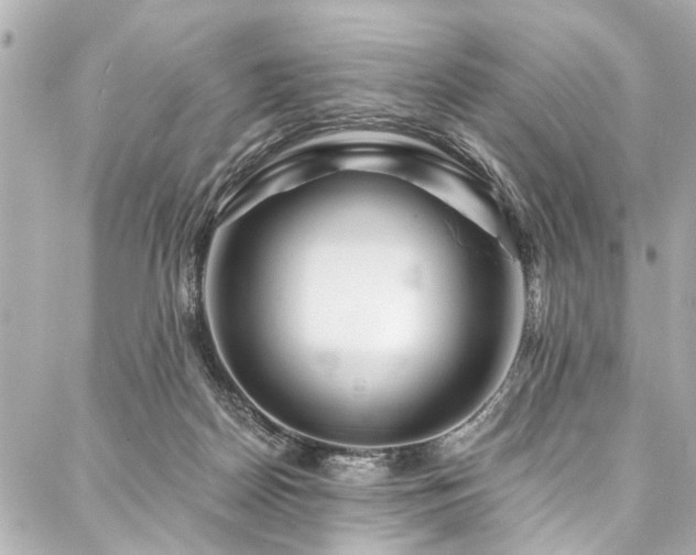 X0000088060170200705111342