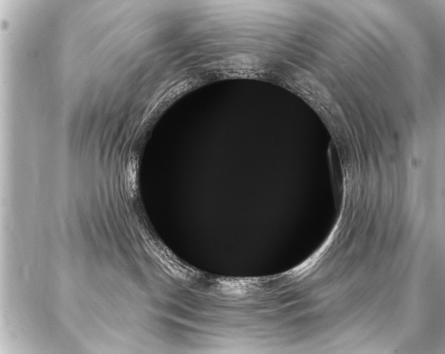 X0000088060190200705111342
