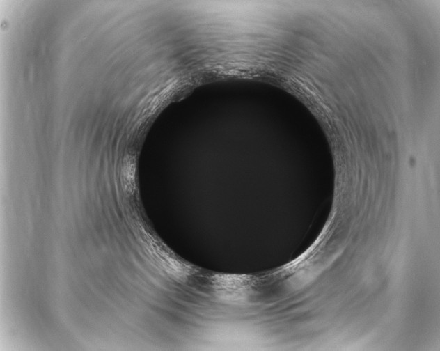 X0000088060192200705111342
