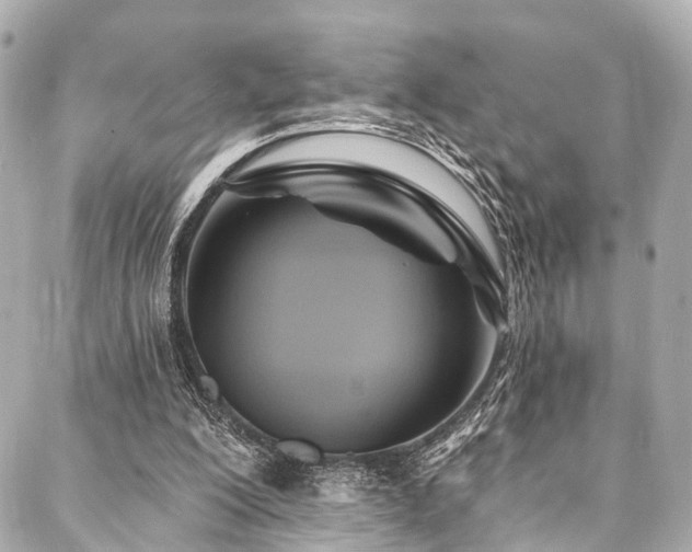 X0000088060200200705111341