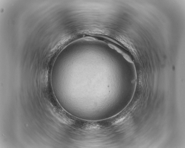 X0000088060206200705111341