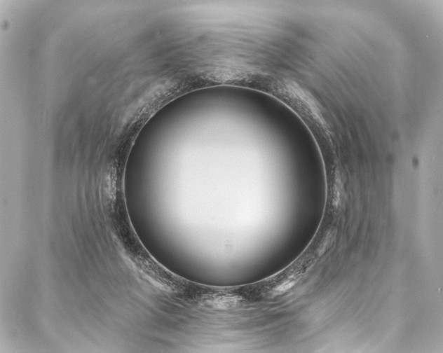 X0000088060210200705111341