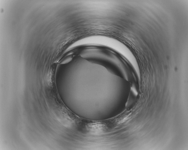 X0000088060219200705111341
