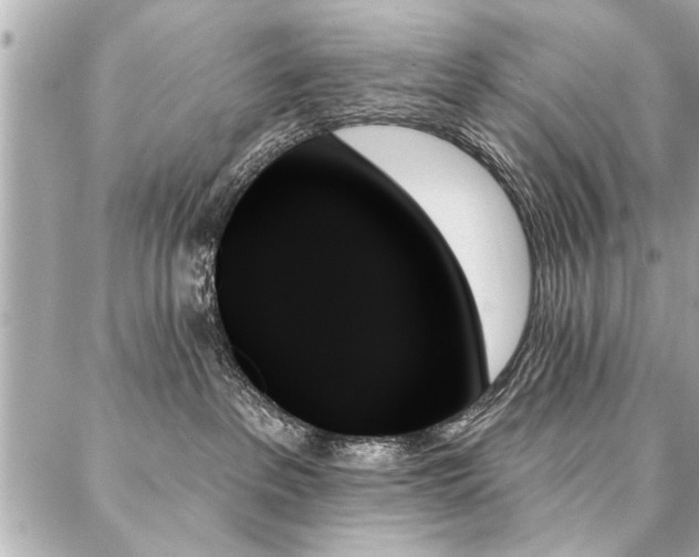 X0000088060237200705111341